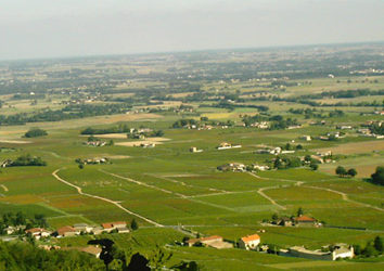 Beaujolais