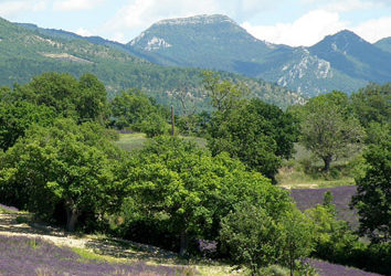 Drôme provençale