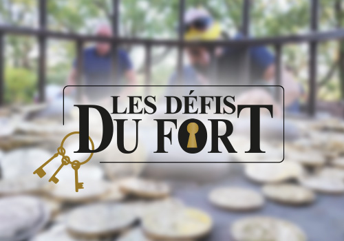 Les défis du fort - Team building challenge