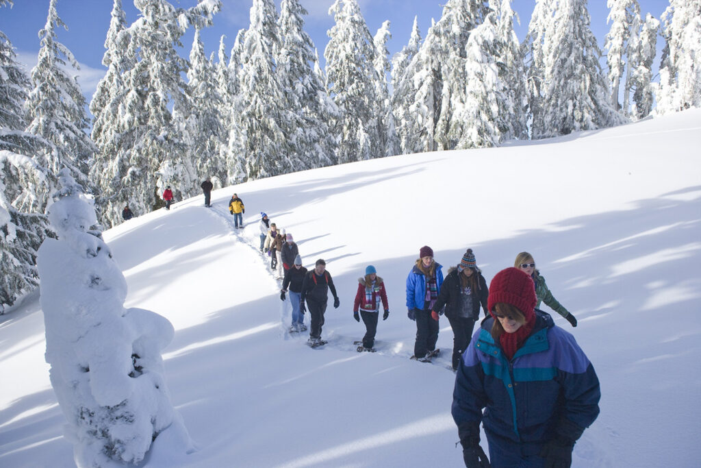 Chasse à l'apéro glacé